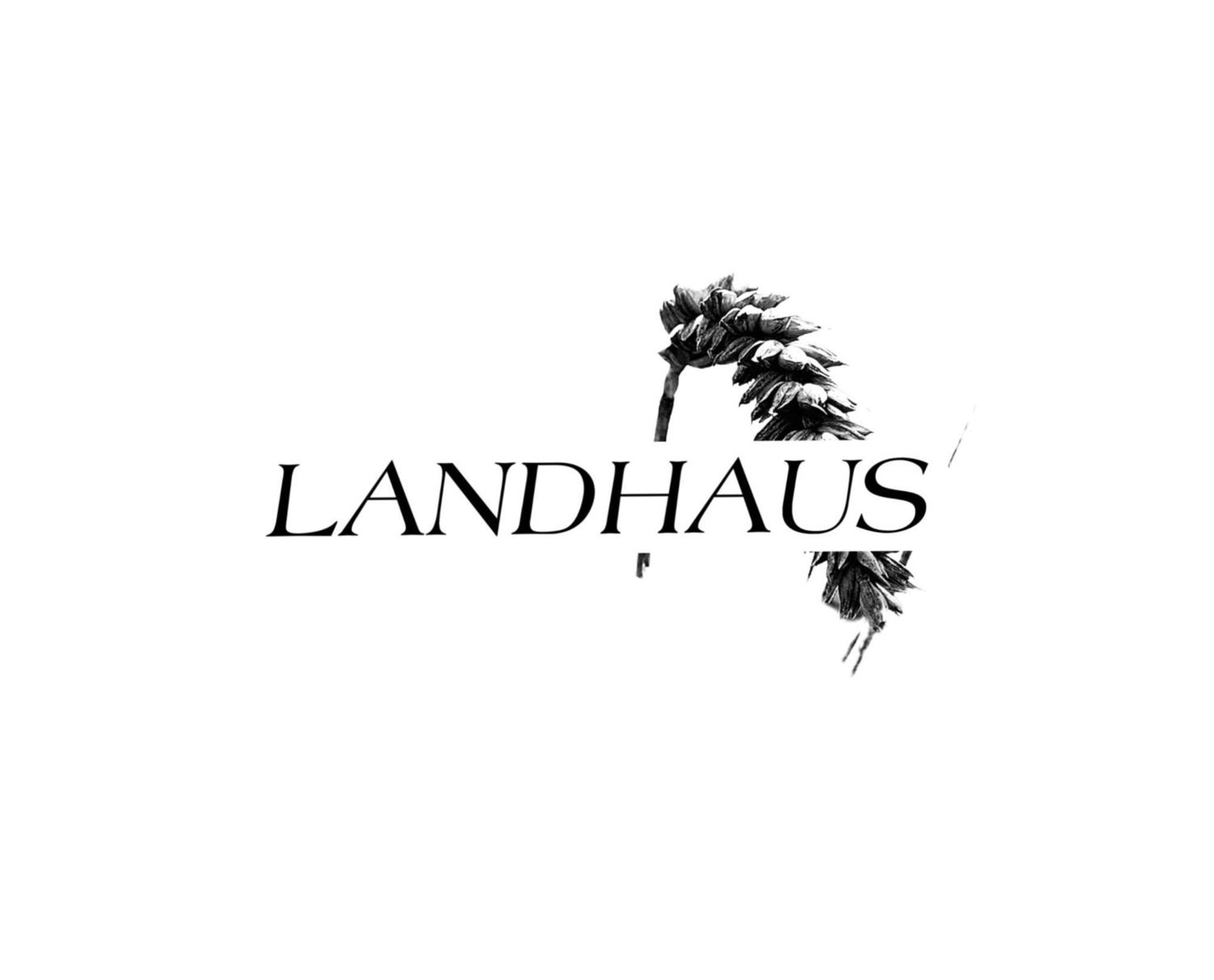 Fewo Buedingen - Landhaus エクステリア 写真